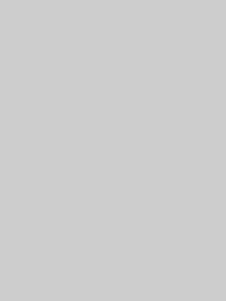 dummy_900x1200__cccccc